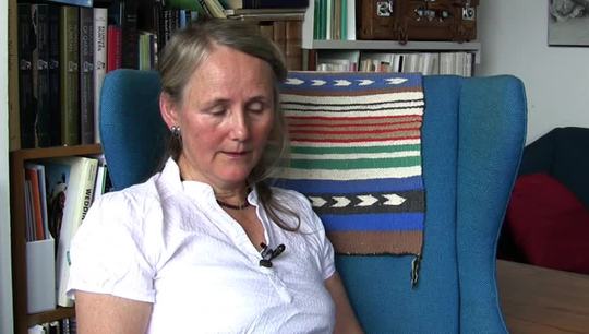 Den ”anden” tsunami – videointerview med Esther Fihl 2013