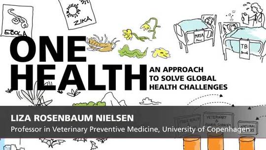 One Health by Professor Liza Rosenbaum Nielsen