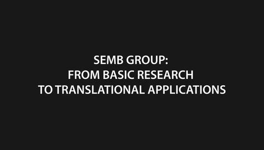 The Semb group - from basic research to translational applications