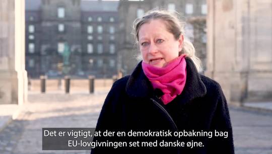 Juraprofessoren sikrer danske politikere indflydelse i EU
