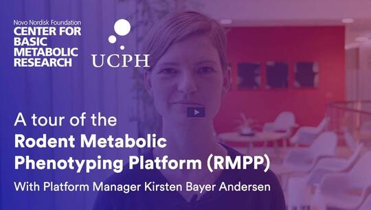 Introduction to the Rodent Metabolic Phenotyping Platform