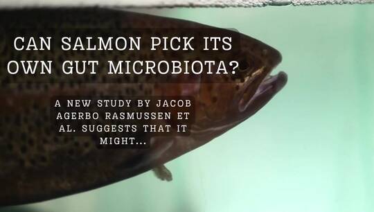 CAN SALMON PICK ITS OWN GUT MICROBIOTA.mp4