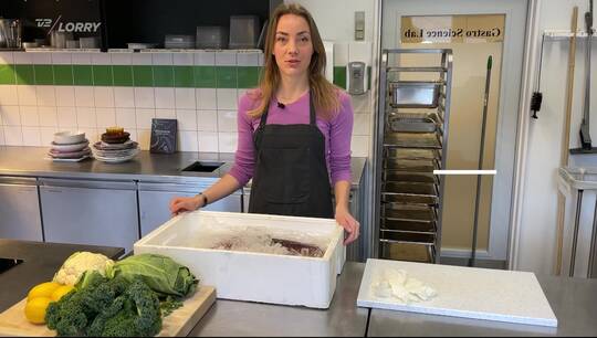 TV-serie på TV2 Lorry: De unge forskere og maden - På sporet af de lækreste blæksprutter