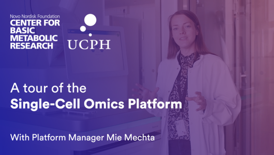 A tour of the Single-Cell Omics Platform