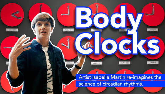 Body Clocks - An artist's re-imagining of the science of circadian rhythms