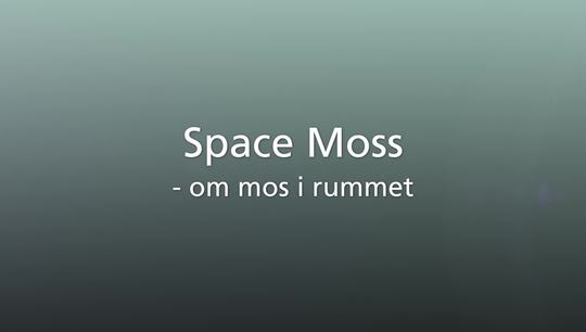 Space Moss - mos i rummet