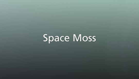Space Moss